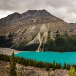 11 Peyto Lake K32 464-67