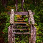23 Wild Pacific Trail Ucluelet K3 851