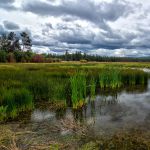 0921 Deschutes River K32 0283-85
