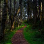 0924 Cascade Head Oregon K3  0379
