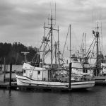 0929 Hafen La Push Washington K3  0717
