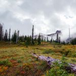 12 Mt Rainier K32 119