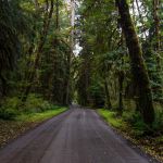 21 Olympic NP K32 488