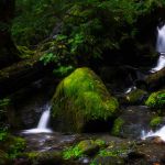 21 Waterfall Olympic NP K32 477