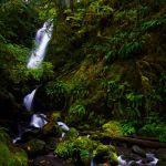 21 Waterfall Olympic NP K32 483