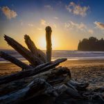 22 La Push K3 490-91 2