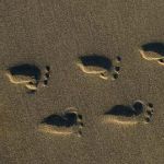 24 Footprints K3 645